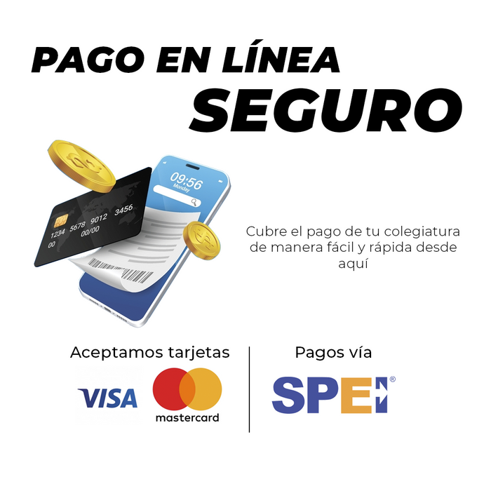 250350A11